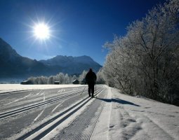 c_frozen_lights_winter_langlauf.jpg