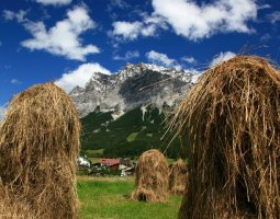 c_frozen_lights_bergblick13.jpg c_frozen_lights_bergblick13.jpg