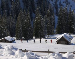 c_frozen_lights_wintersport7.jpg c_frozen_lights_wintersport7.jpg